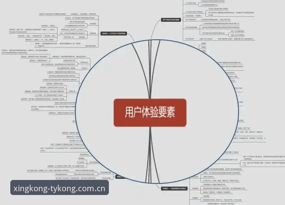 资深用户亲历：星空体育注册全流程体验分享，这些细节你必须知道